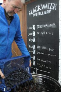 Unloading plums