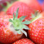 Wexford Strawberry Gin