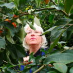 Blackwater Hedgerow Gin