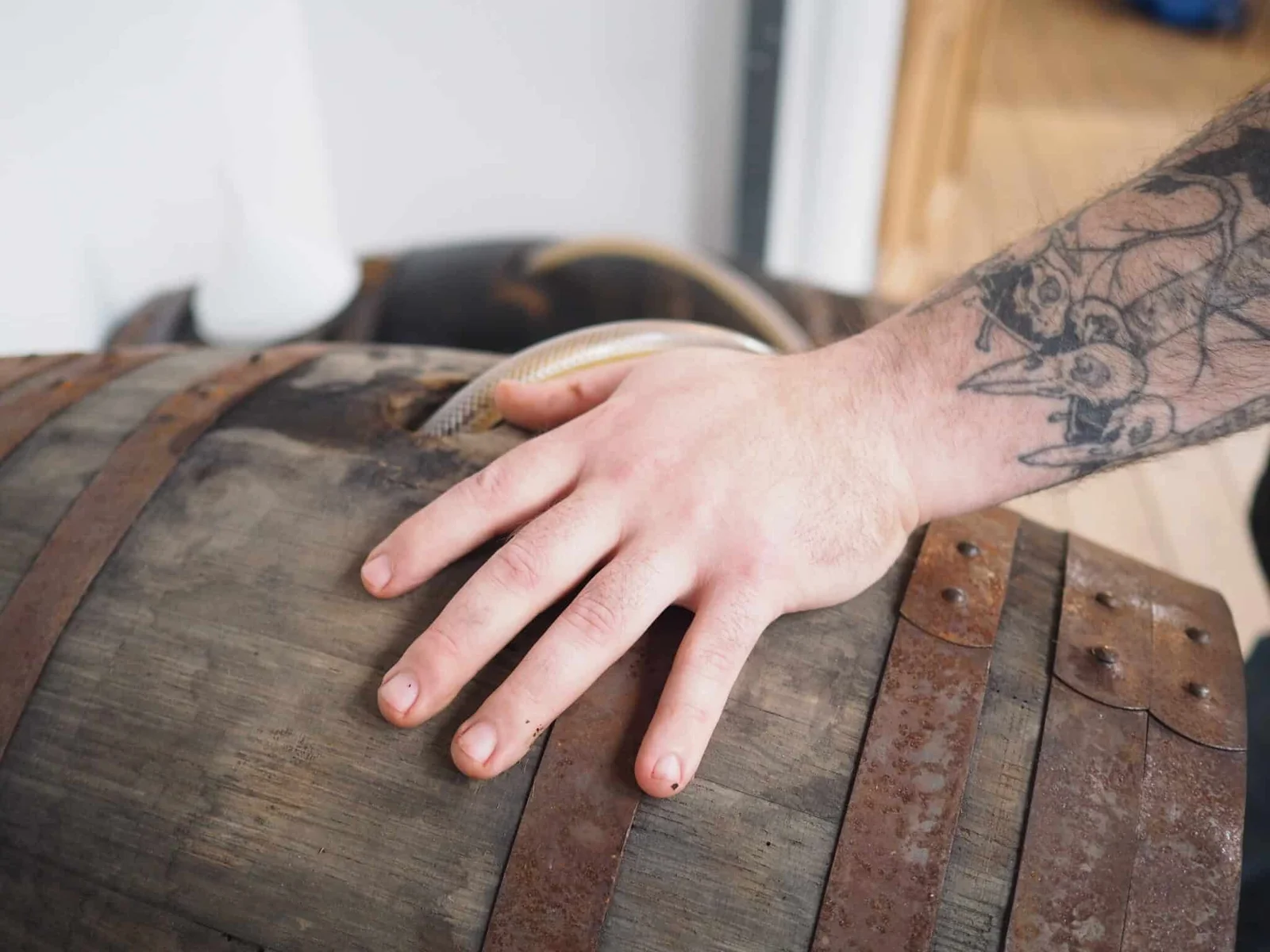 Part 1: Peat the Magic Dragon